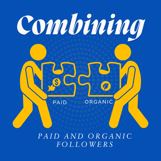 The Best Way to Combine Paid and Organic Instagram Followers for Long-Term Growth